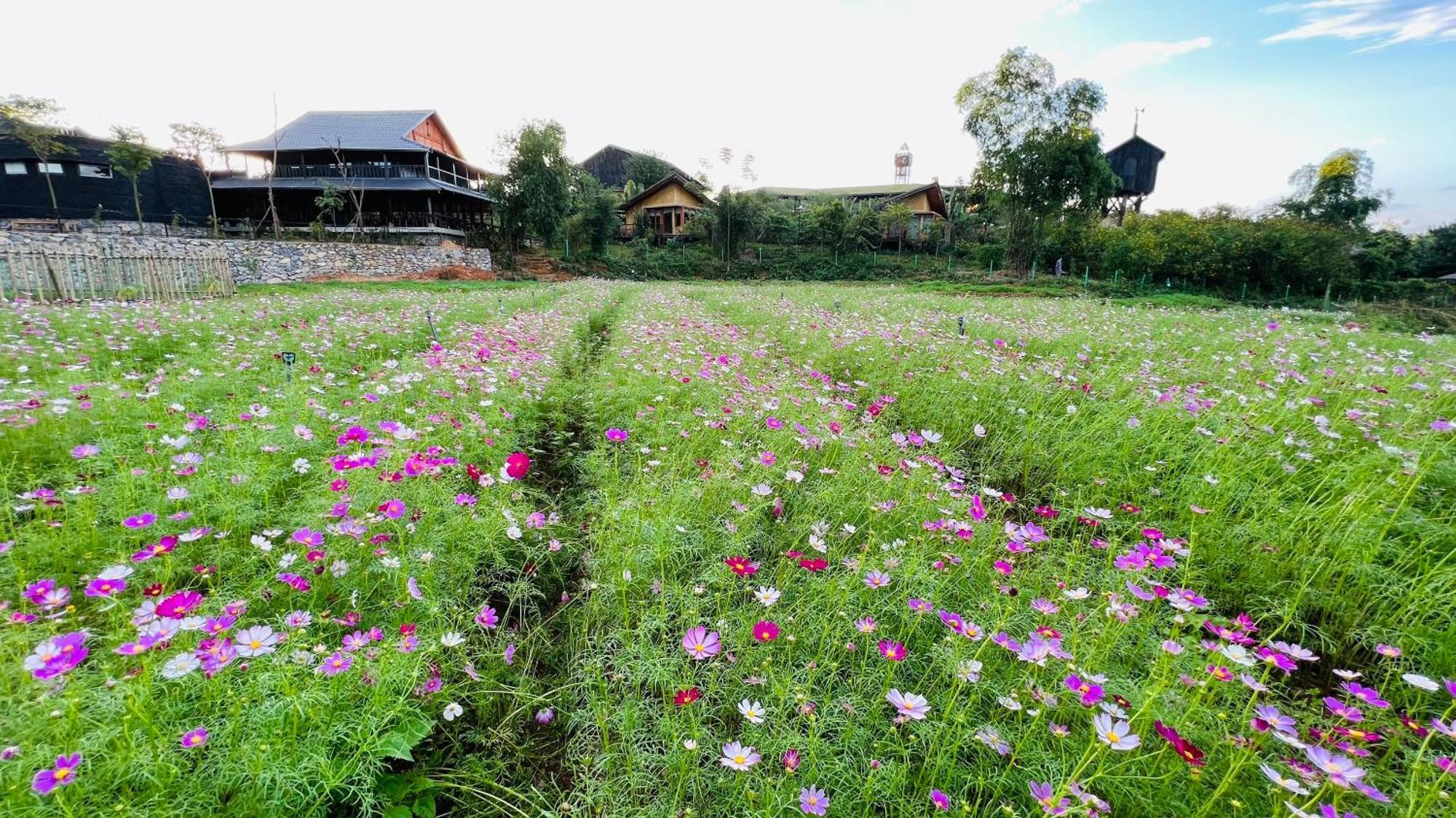 Satoyama Village Luong Son  ภายนอก รูปภาพ