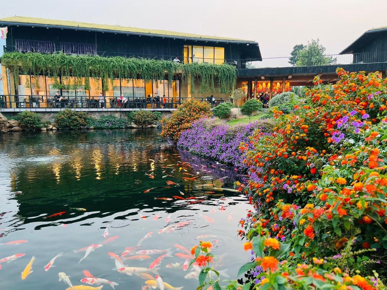Satoyama Village Luong Son  ภายนอก รูปภาพ